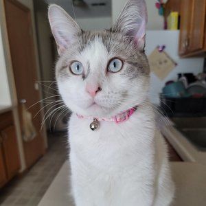 Meet your Posher, Laura